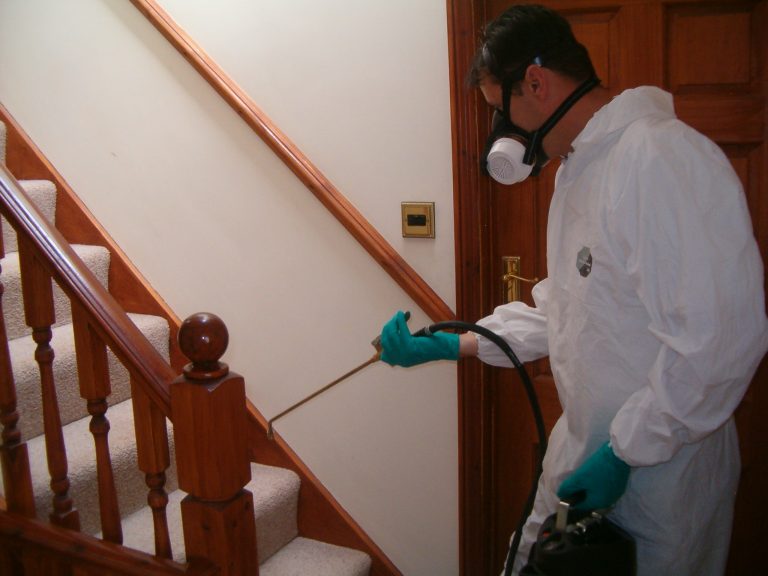 EPM Pest59 768x576