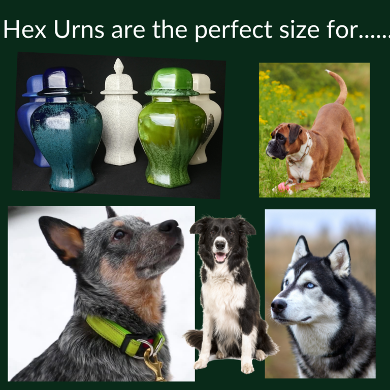 Hex Urns 768x768