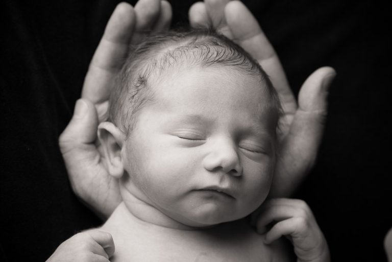 Lion and cub 1 newborn photography sydneyjpg 768x513