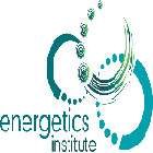 energeticsinstitute logo