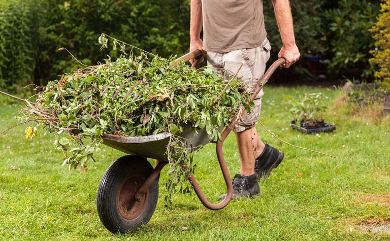 garden waste wheelbarrow 768x475