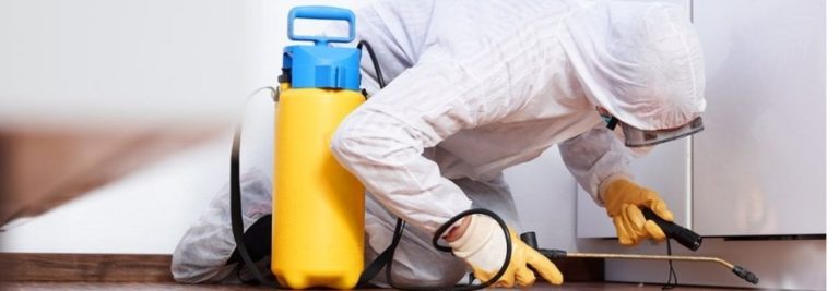 pest control banner 768x267