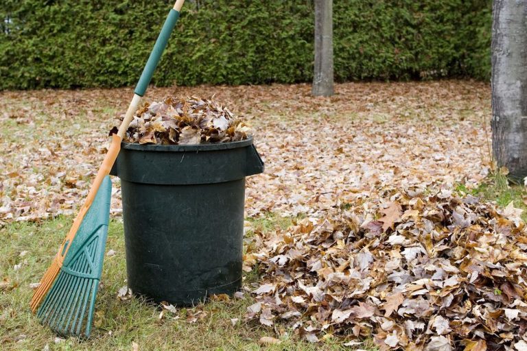 yard waste 004 768x512