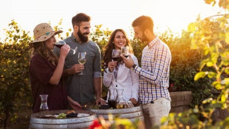 4 friends wine tasting between grape vines in Margaret River tripadvisor 768x432