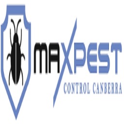 Bed Bug Control Canberra 256