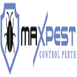 Flea Control Perth256