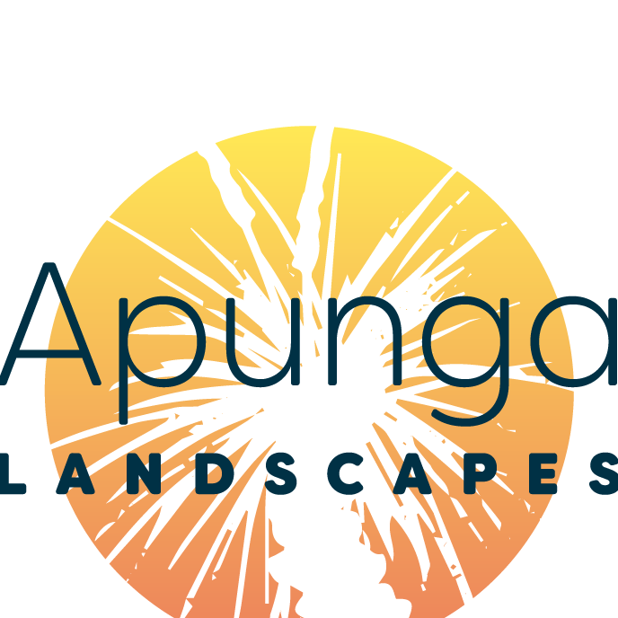 Logo 21