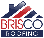 Logo Brisco Portrait