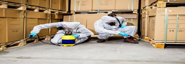 Pest Control Epping 1440 500 768x267