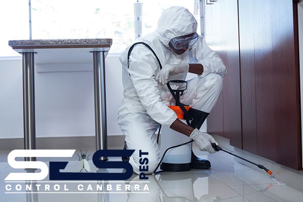 SES possum control canberra 4