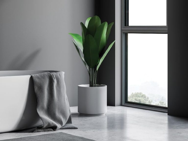 brisbane buy windows doors 1 768x576