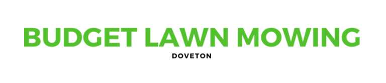 logo 17 768x166