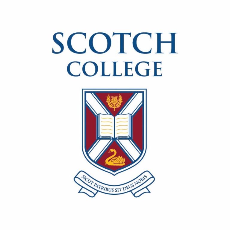 logo 768x768