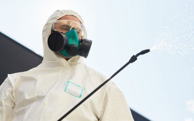 10 important questions to ask a pest control company 768x480