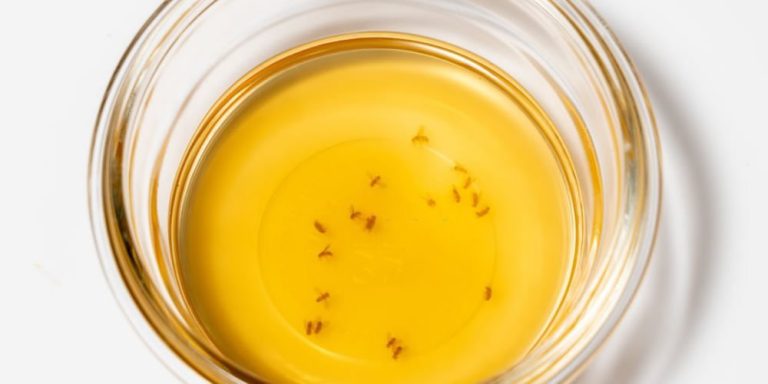 10 step guide to diy pest control 2 768x384