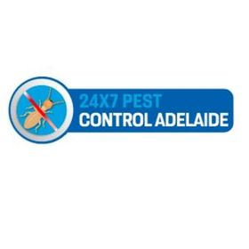 247 adelaide