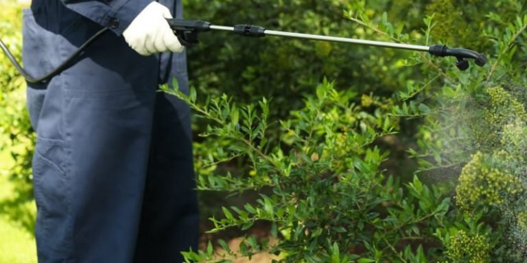 6 benefits of pest control 768x384