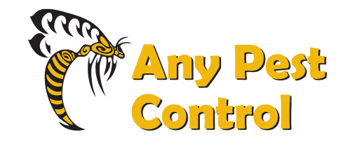 Any Pest Control logo tran e1555391324905