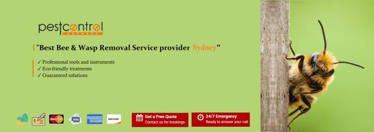 Bee control 4 sydney 10 768x272