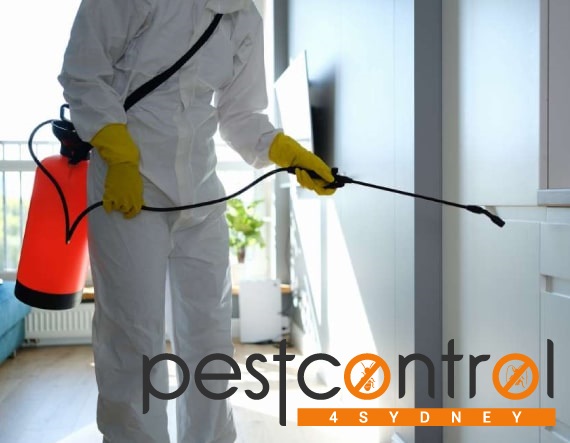 Bee control 4 sydney 3