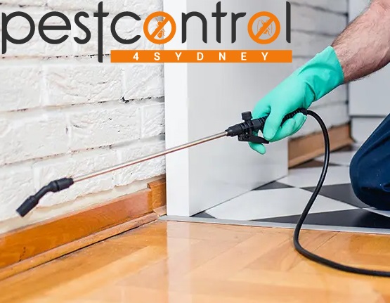Bee control 4 sydney 6