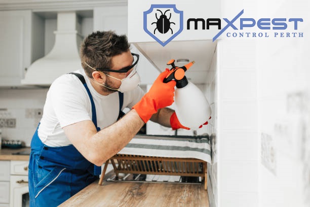 MAX Pest Control Perth 10