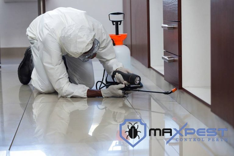 MAX Pest Control Perth 11 768x512