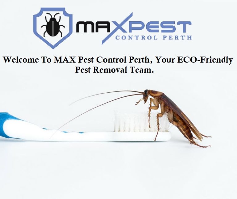 MAX Pest Control Perth 2 768x644