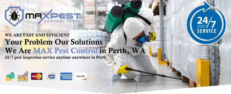 MAX Pest Control Perth 3 768x312