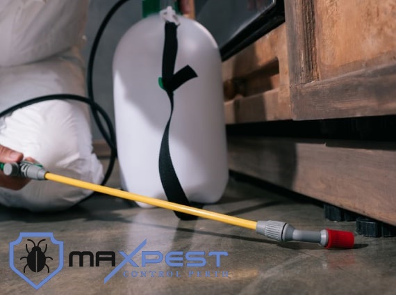 MAX Pest Control Perth 4