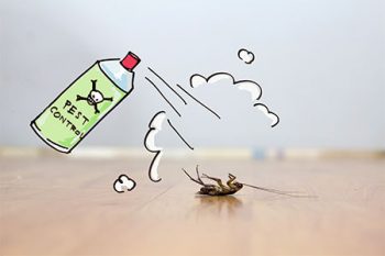 MAX Pest Control Perth 6