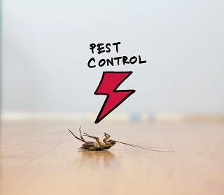 MAX Pest Control Perth 7