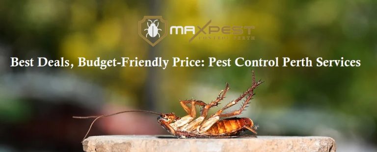 MAX Pest Control Perth 8 768x311