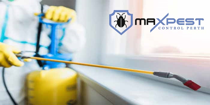 MAX Pest Control Perth 9