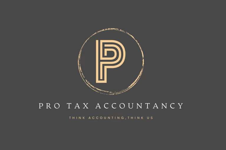 Pro Tax logo 12 768x512