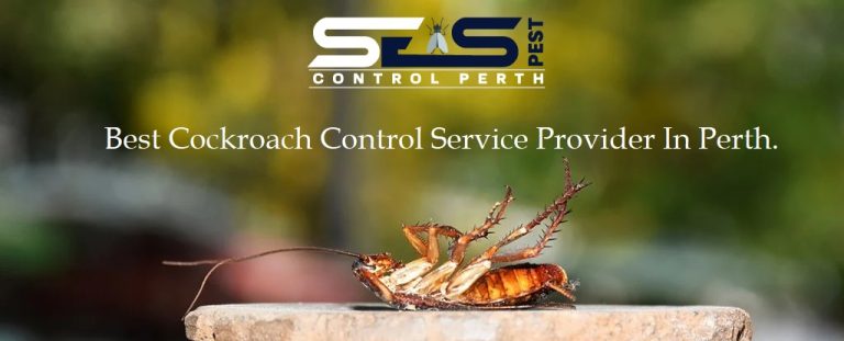Ses Cockroach Control Perth 6 768x311