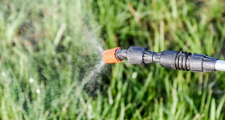 eco pest control 768x410