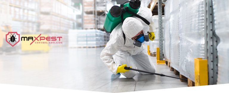 max Bed bug control adelaide 4 768x312