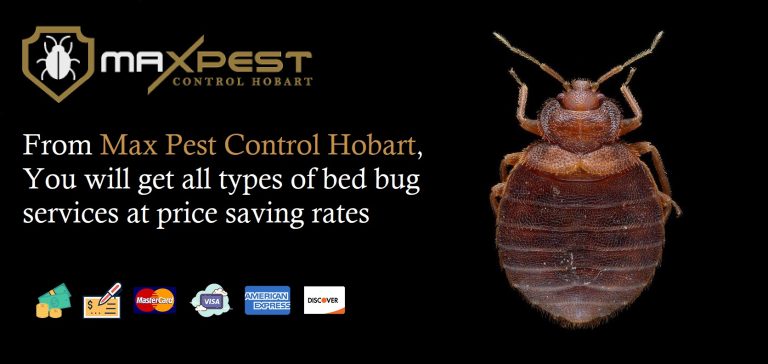 max pest control Hobart 4 768x364