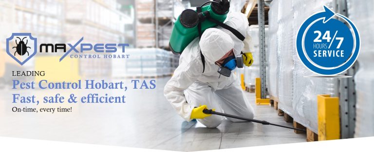 max pest control Hobart 5 768x312