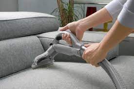 professionalcleaning