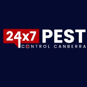 247 Cockroach control canberra 1
