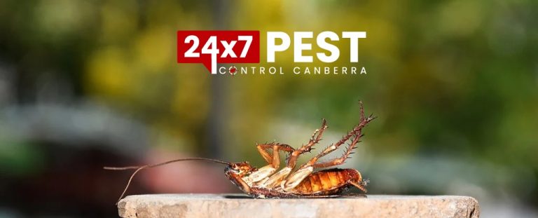 247 Cockroach control canberra 11 768x311