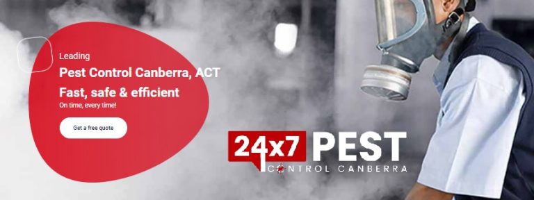 247 Cockroach control canberra 6 768x288