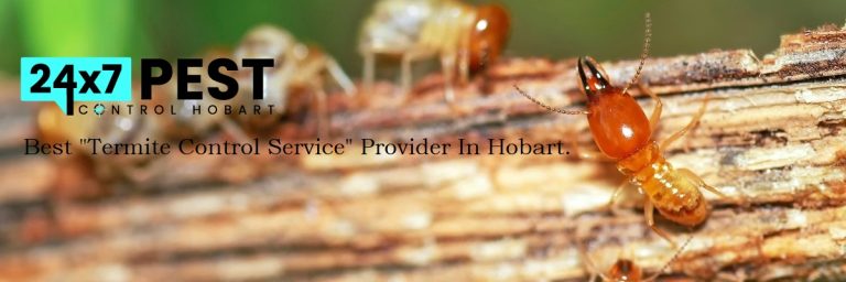 247 Termitecontrol hobart 6 768x256