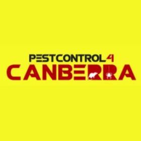 4 canberra