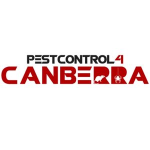 Ants Control 4 Canberra 1