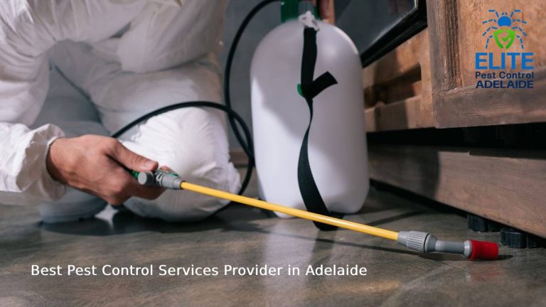 Benefiting From Organic Pest Control in Adelaide 768x432