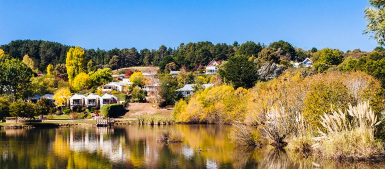 Blog Daylesford 1140x500 1 768x337