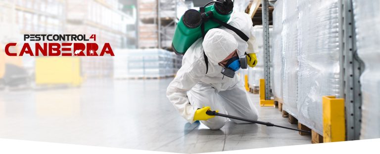 Mite Pest Control 4 Canberra 2 768x312